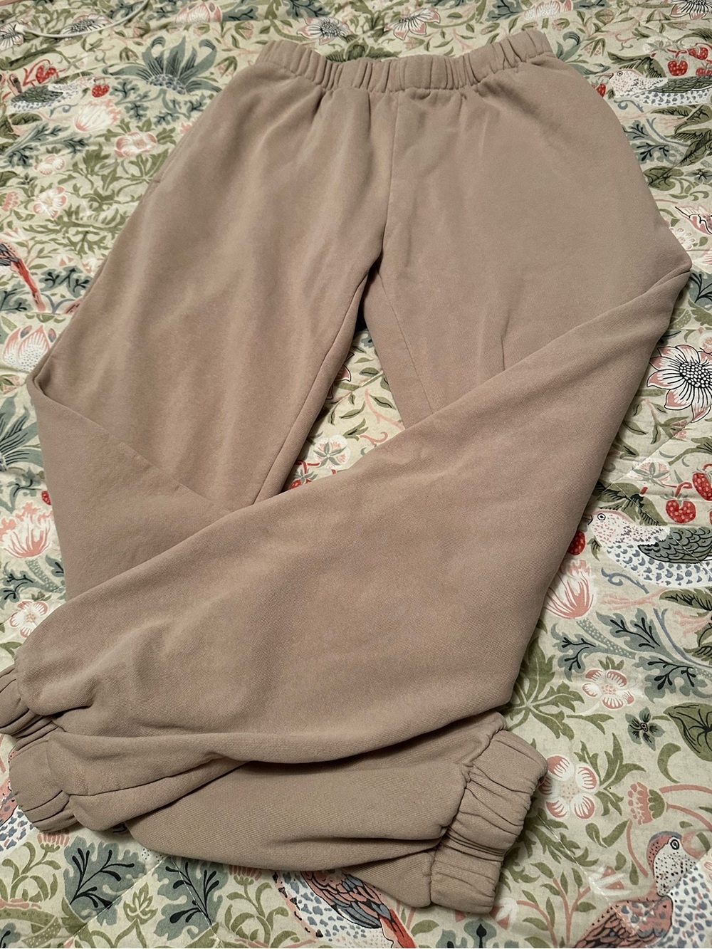 Brandy Melville Beige Elastic Waist Jogger Pants